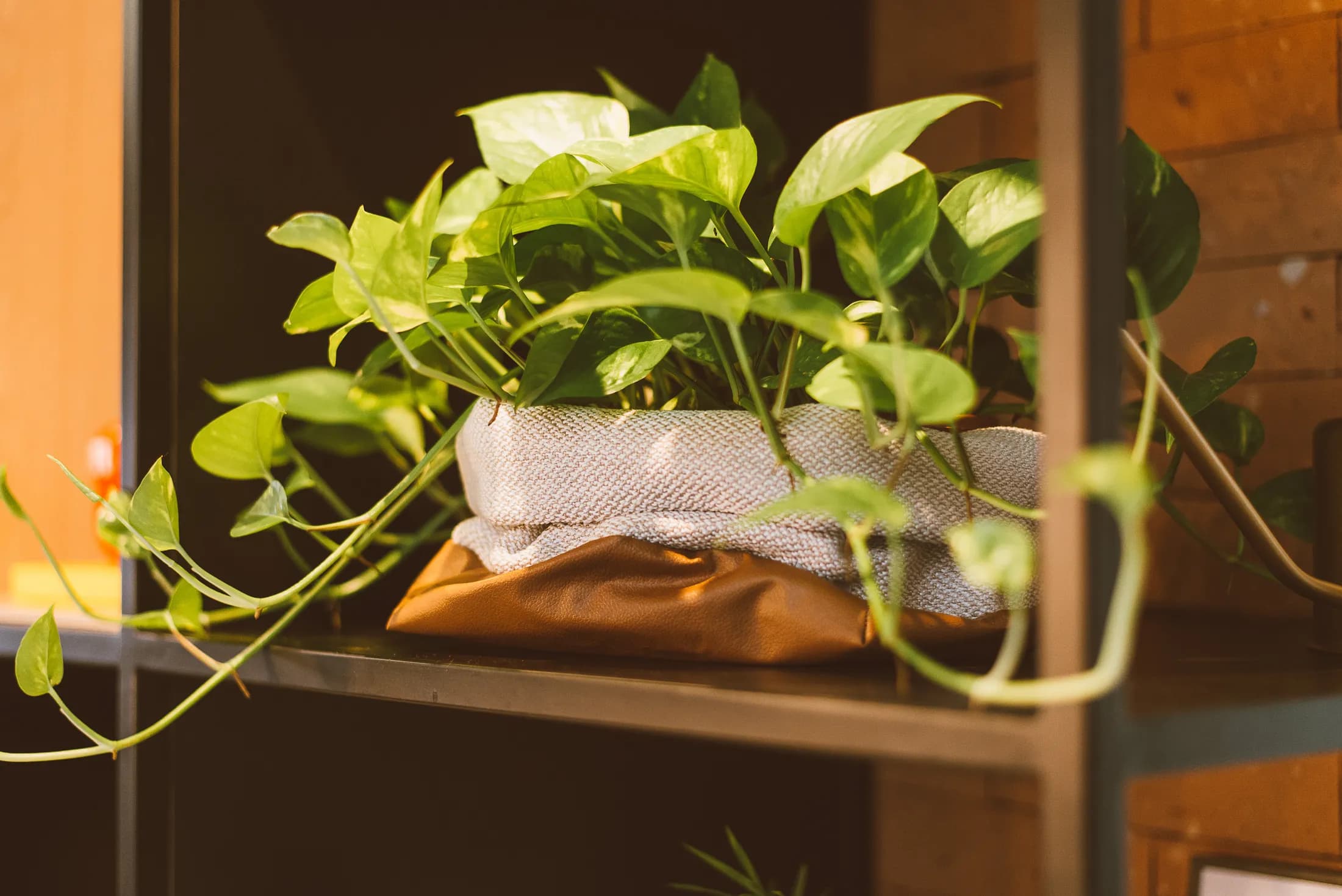 Kargo — ambiente projetado pela H+